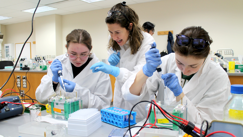 Professor Leslie Dickmann guides students as they pipette samples into an electrophoresis gel