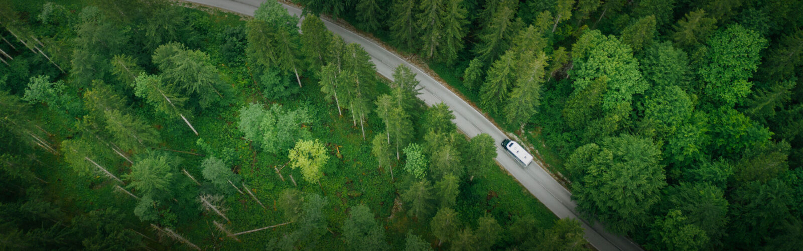 vehicle on road through trees