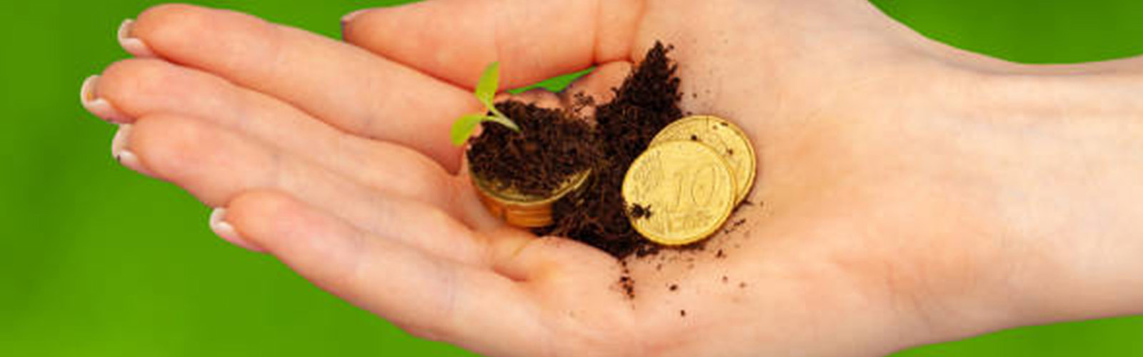 woman's hand holding dirt, coins, and a seedling sprouting