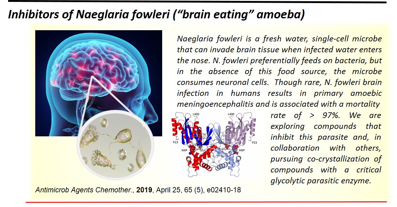 Infographic and synopsis of Inhibitors of Naneglaria fowleri ("brain eating" amoeba)