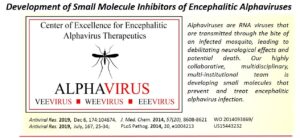 Short synapsis and Infographic of Development of Small Molecule Inhibitors of Encephalatic Alphaviruses
