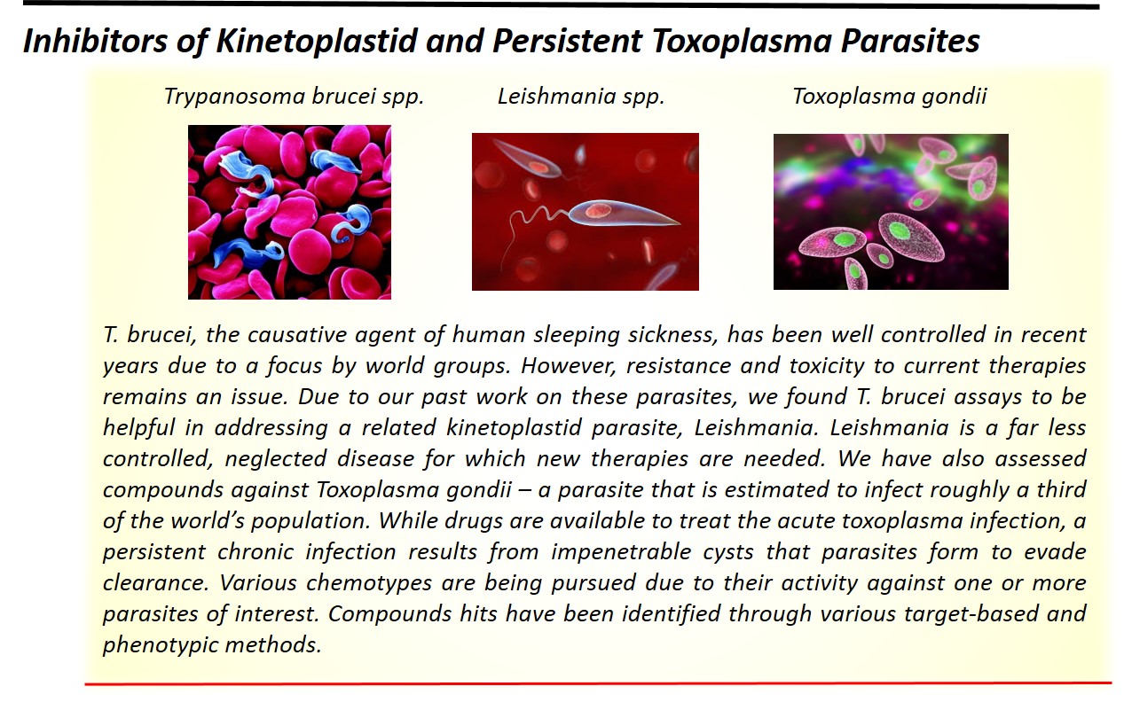 Screenshot of Inhibitors of Kinetoplastid and Persistent Toxoplasma Parasites including three images of microorganisms and a brief discription.