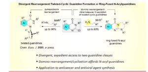 Diagram of Divergetnt Rearrangement: Twisted-Cyclic Guanidine Formulation or Ring-Fused N-Acylguanidines