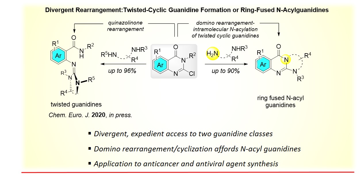 Diagram of Divergetnt Rearrangement: Twisted-Cyclic Guanidine Formulation or Ring-Fused N-Acylguanidines