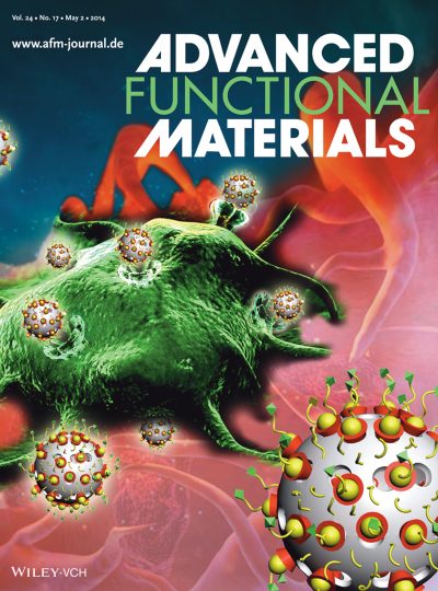 Advanced Functional Materials Vol. 24 No. 17 journal cover