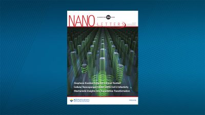 Nano Letters Volume 20 Issue 7 journal cover