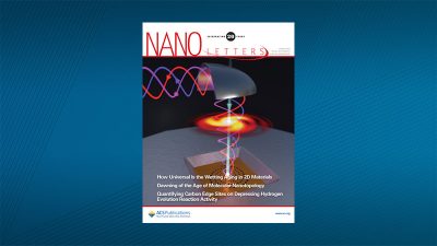 Nano Letters Volume 20 Issue 8 journal cover