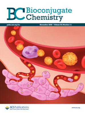 Bioconjugate Chemistry Vol. 33 No. 11 journal cover