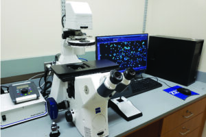 Widefield Zeiss Axiovert florescent microscope built to rapidly image large areas