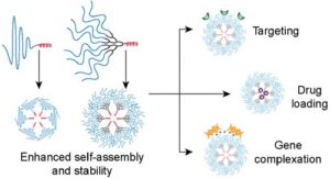 visualization of benefit of dendrons in block copolymer micelles