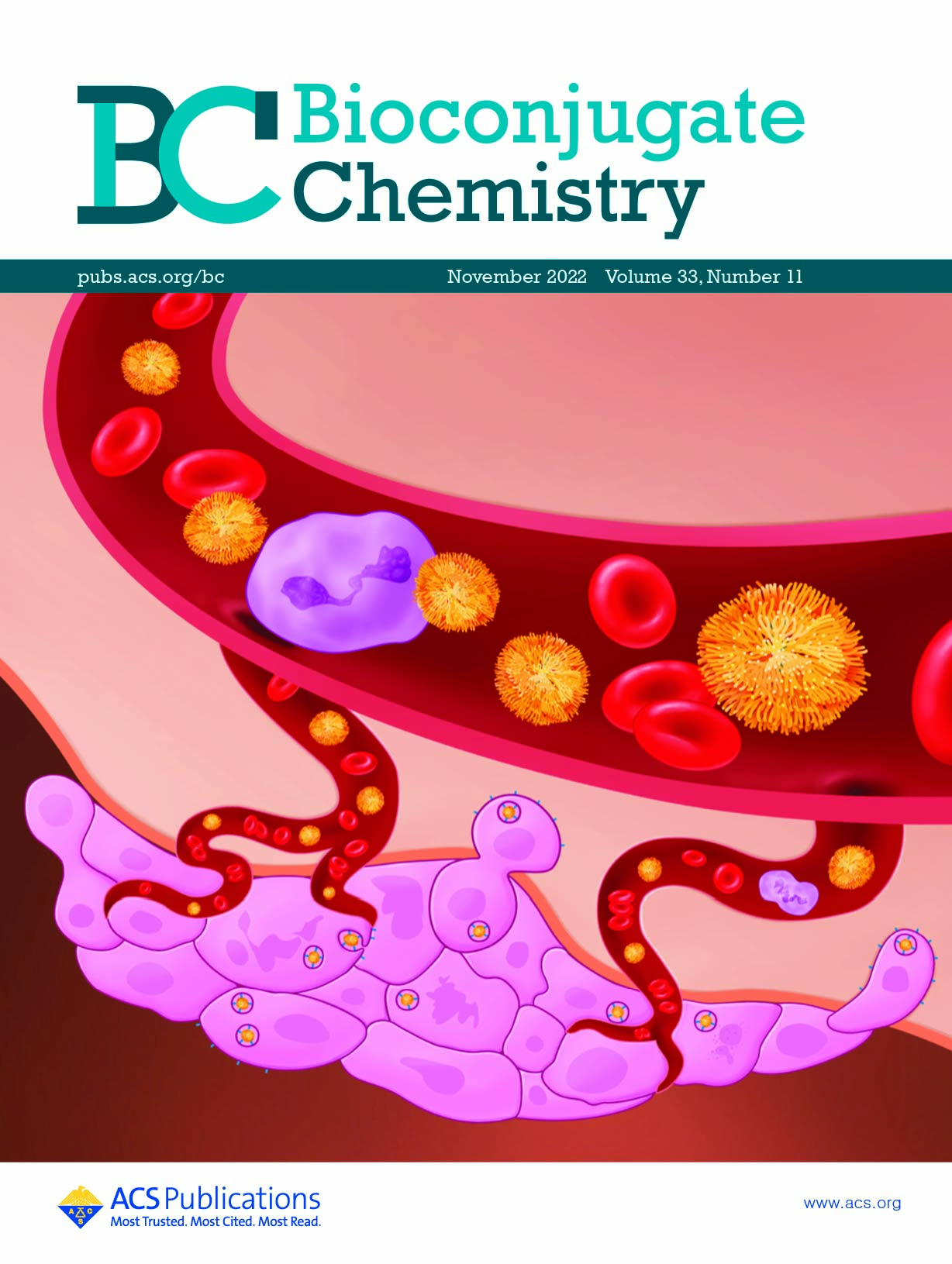 Bioconjugate journal cover