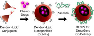 visualization of Drug/gene co-delivery