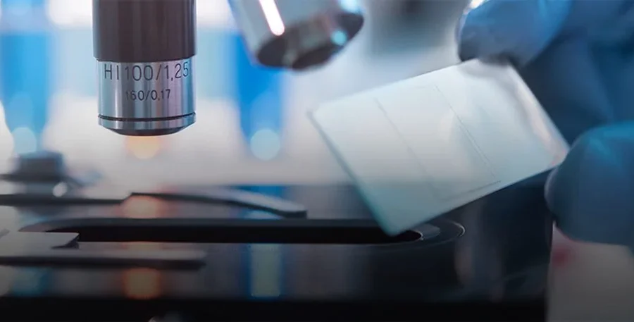 microscope and slide