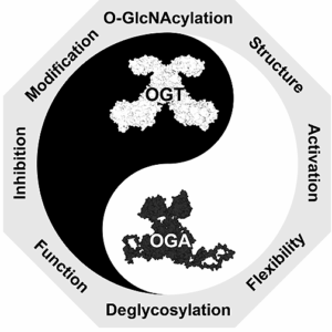 ACS Chemical Biology TOC graphic