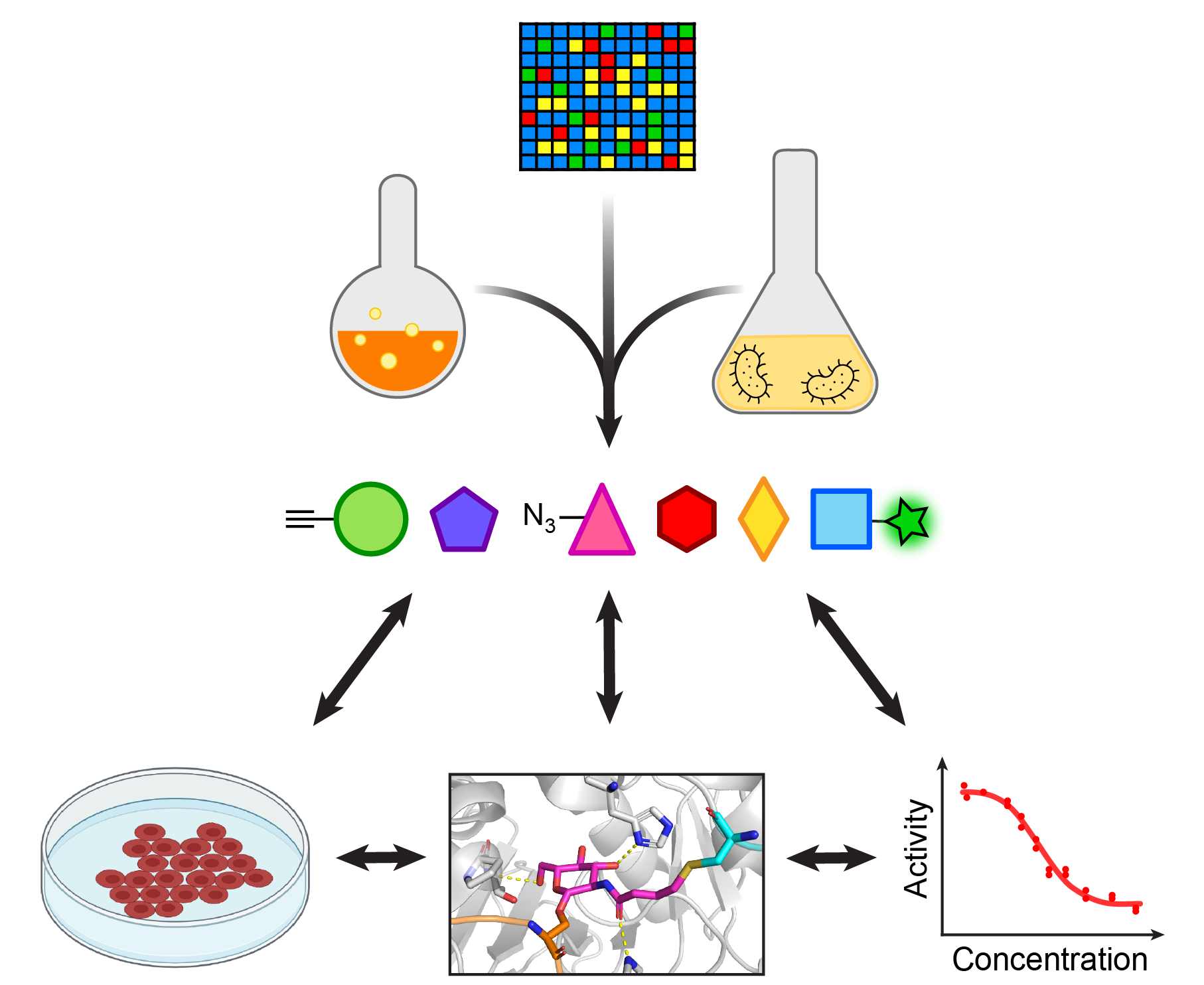visual representation of dissecting the complexity of O-GlcNAcylation