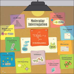 info graphic for molecular interrogation