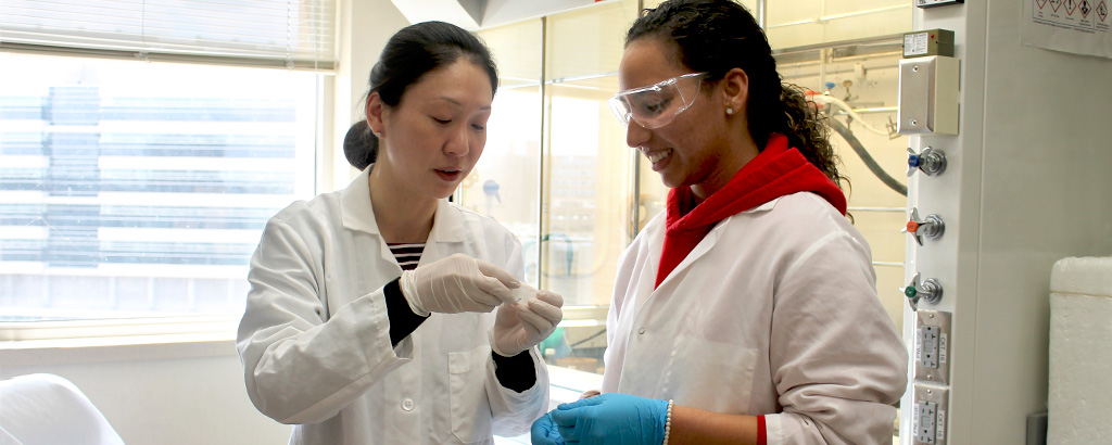 Professor Jiang discusses a sample with a graduate student in the lab