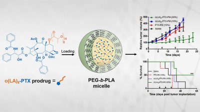 Chemical structures, models, and graphs involving o(LA)8-RAP-loaded PEG-b-PLA micelles