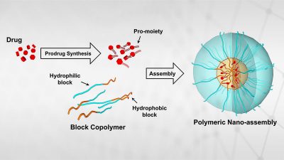 An infographic explaining Polymeric Nano-assembly
