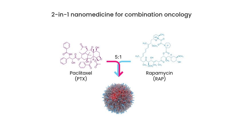 image portraying 2-in-1 nanomedicine for combination onology