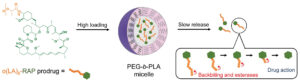 image of Oligo(Lactic Acid)8-Rapamycing Prodrug-Loaded Poly