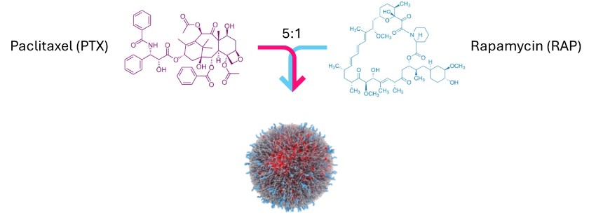 image representing scale-up process for high prodrug loading