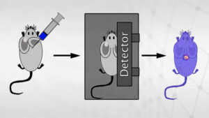 image depicting the subcutaneous absorption