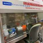 Baker Laminar Flow Tissue Culture hood