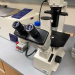 Nikon Light microscopes