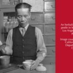 1938 herbalist using a mortar and pestle in medicine shop in Chinatown LA, CA