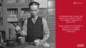 1938 herbalist using a mortar and pestle in medicine shop in Chinatown LA, CA
