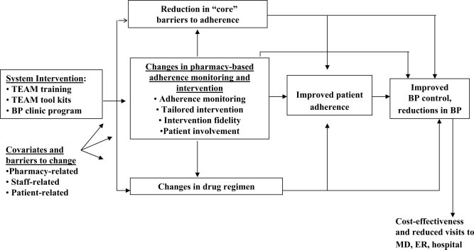 Diagram of the research model used in the TEAM Study