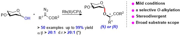 An efficient approach for the stereoselective synthesis of α-linked glycoconjugates was reported via a RhII/chiral phosphoric acid (CPA)-cocatalyzed dynamic kinetic anomeric O-alkylation of sugar-derived lactols via carbenoid insertion, achieving excellent anomeric/diastereo-selectivity, broad substrate scope, and high efficiency.