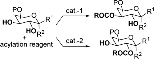 Graphical abstract image for "Catalytic Site-Selective Acylation of Carbohydrates Directed by Cation–n Interaction"