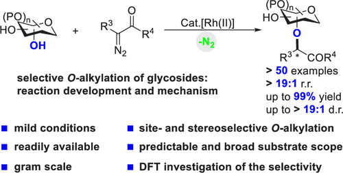 Graphical abstract image for Tang article "Site-Selective and Stereoselective O-Alkylation of Glycosides by Rh(II)-Catalyzed Carbenoid Insertion"