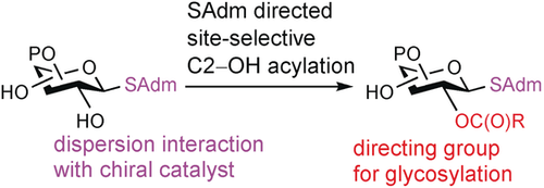 Graphical abstract: The sterically encumbered adamantyl group (Adm) directs site-selective acylation at the C2 position of S-glycosides through dispersion interactions between the adamantyl C−H bonds and the π system of the cationic acylated catalyst. Because of their stability, chemical orthogonality, and ease of activation for glycosylation, the site-selective acylation of S-glycosides can streamline oligosaccharide synthesis. 