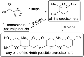 Graphical abstract image for Tang article "Divergent de novo synthesis of all eight stereoisomers of 2,3,6-trideoxyhexopyranosides and their oligomers"