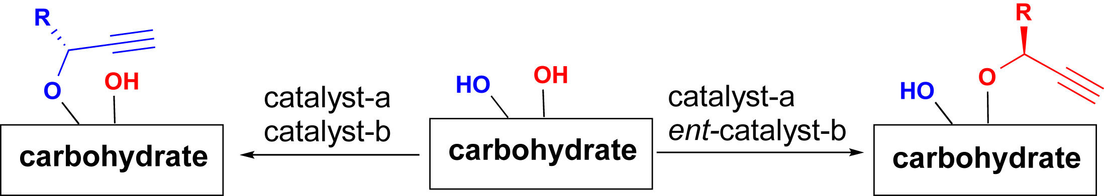 Graphical abstract image for "Addressing the Challenge of Carbohydrate Site Selectivity by Synergistic Catalysis"