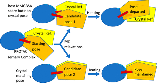 Illustrated info model that compares poses and whether they are maintained in crystal ref