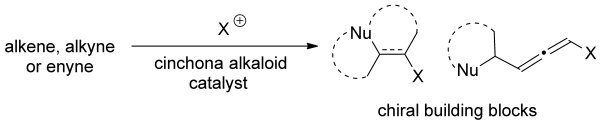 Graphical abstract for Tang article "Cinchona Alkaloids as Organocatalysts in Enantioselective Halofunctionalization of Alkenes and Alkynes"