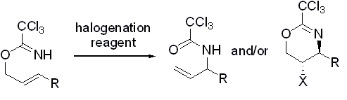 Graphical abstract for Tang pub "Effect of Halogenation Reagents on Halocyclization and Overman Rearrangement of Allylic Trichloroacetimidates"