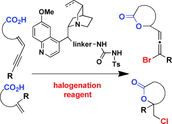 Graphical abstract for Tang pub "Catalytic Enantioselective Halolactonization of Enynes and Alkenes"