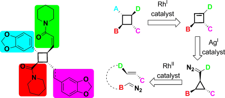 Graphical abstract image for Tang pub "Stereoselective Preparation of Cyclobutanes with Four Different Substituents: Total Synthesis and Structural Revision of Pipercyclobutanamide A and Piperchabamide G"