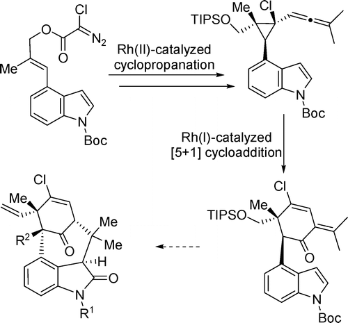 Graphical abstract image for Tang pub "Synthesis of Functionalized Cyclohexenone Core of Welwitindolinones via Rhodium-Catalyzed [5 + 1] Cycloaddition"