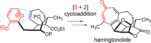 Graphical abstract image for Tang pub "Stereoselective Total Synthesis of Hainanolidol and Harringtonolide via Oxidopyrylium-Based [5+2] Cycloaddition"