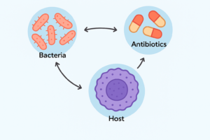 host-pathogen-antibiotic interactions image