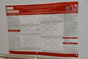 Research and Results on Effects of Ketamine and Psilocybin on Fear Acquisition and Extinction in Mice