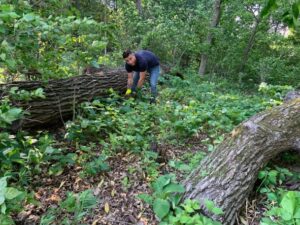 Wenthur Lab member Nate Jones in the woods at picnic point