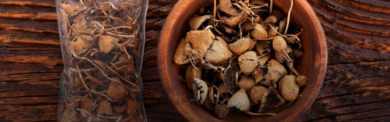 baggie and wooden bowl with dried mushrooms