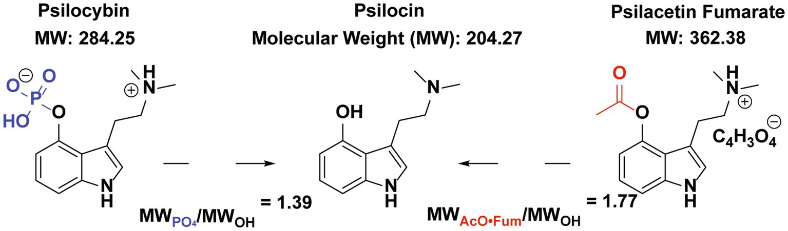 In vivo validation of psilacetin as a prodrug yielding modestly lower ...